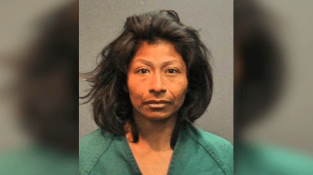 “¡Ella es mi hija, devuélvemela!”: el grito de una mujer para evitar el rapto de una niña