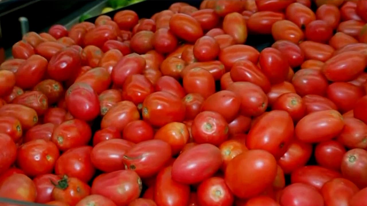 "En vez de comprar dos cajas, ya solo pido una": Comerciantes preocupados por alza del precio del tomate en EEUU
