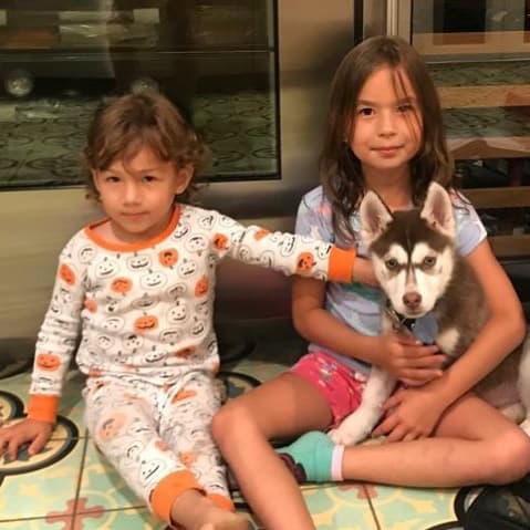 Días antes del cumpleaños de Michelle, 'los Tacher' recibieron en su familia a Sky, un cachorro de raza husky. Sin duda, un regalo adelantado para la pequeña quien es amante de los animales. Seguro cuidará de él como de su perrita chihuahua Boo.