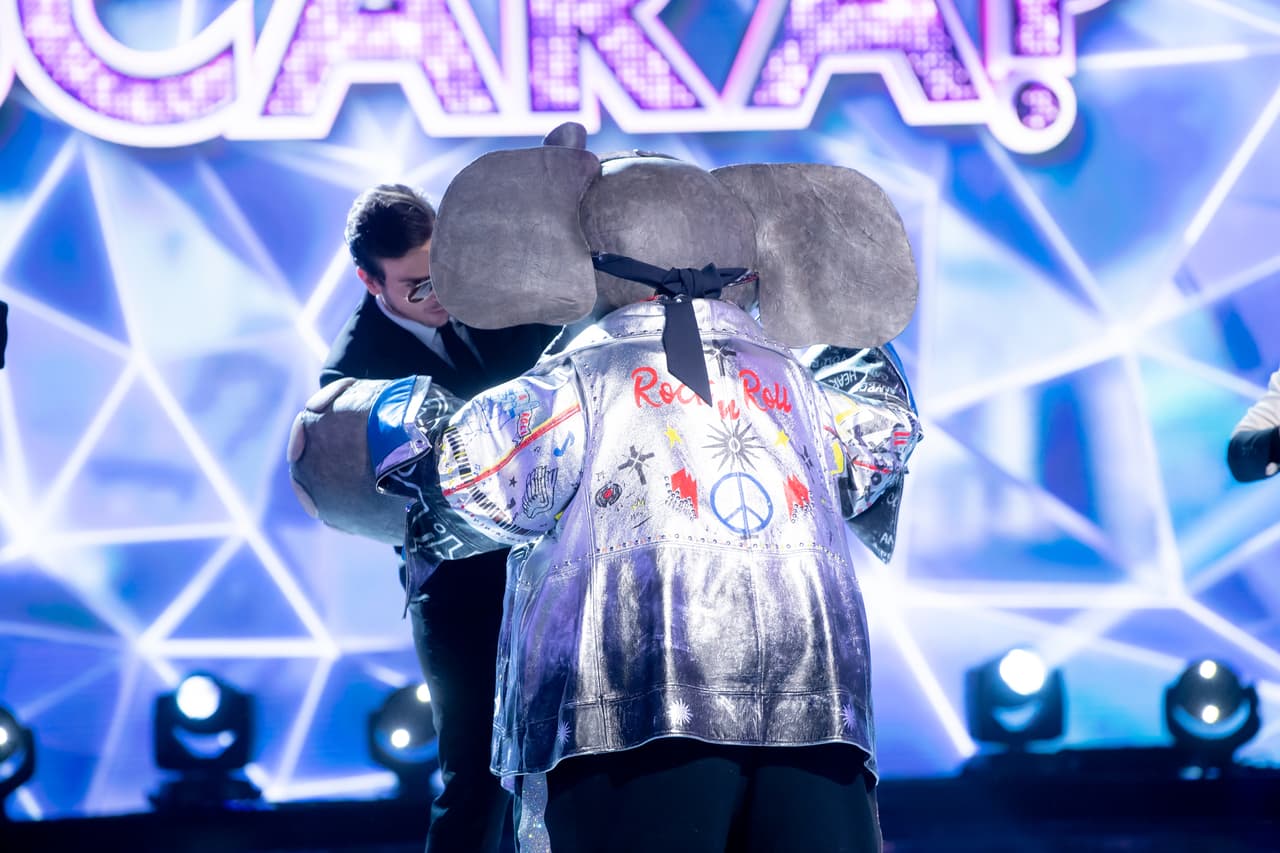 Por su parte, los otros tres personajes quedaron en manos del público. Con su voto, los presentes salvaron a Mapache y a Zombie, por lo que Elefante tuvo que abandonar ¿Quién Es La Máscara? y revelar su identidad.