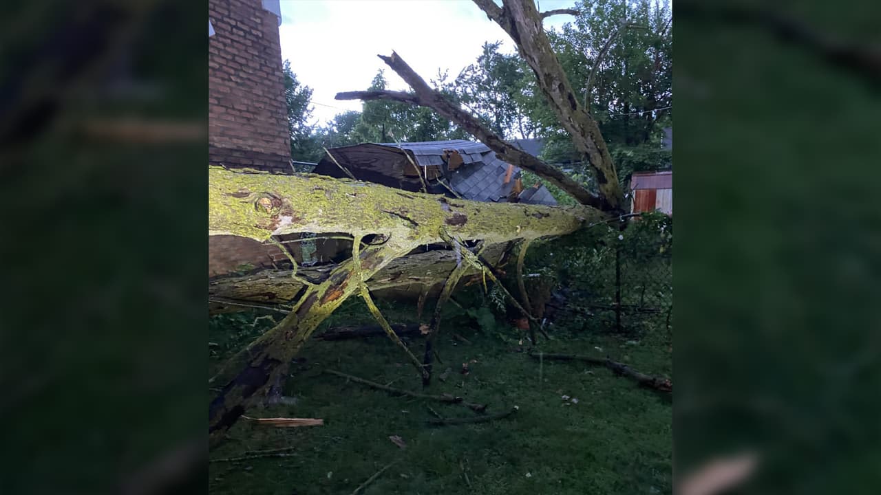 De acuerdo con el pronóstico, las inclemencias del tiempo pueden regresar entre la noche del sábado y las primera horas del domingo, por lo que autoridades meteorológicas recomiendan a la población mantenerse alerta.