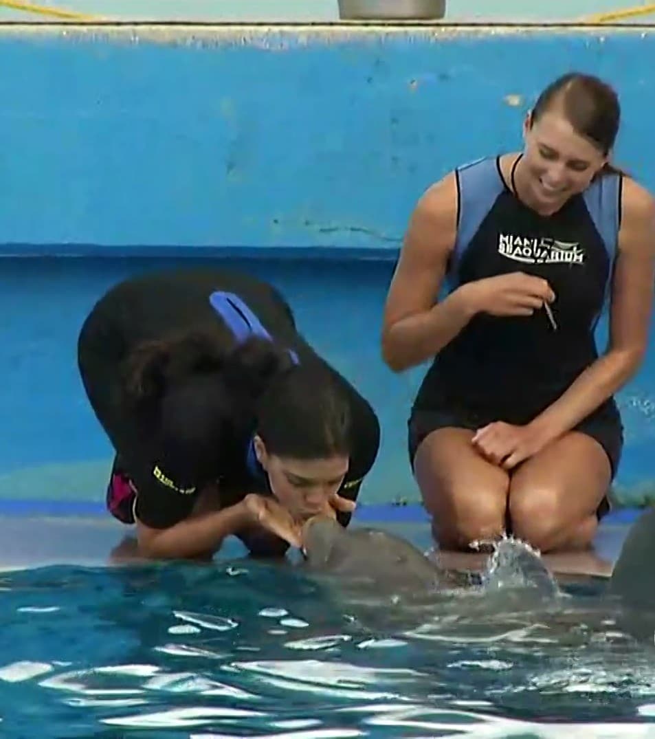 Francisca no se resistió a la belleza de los delfines, por lo que besó a uno de ellos, pero antes pidió a su prometido Francesco Zampogna que no se pusiera celoso.