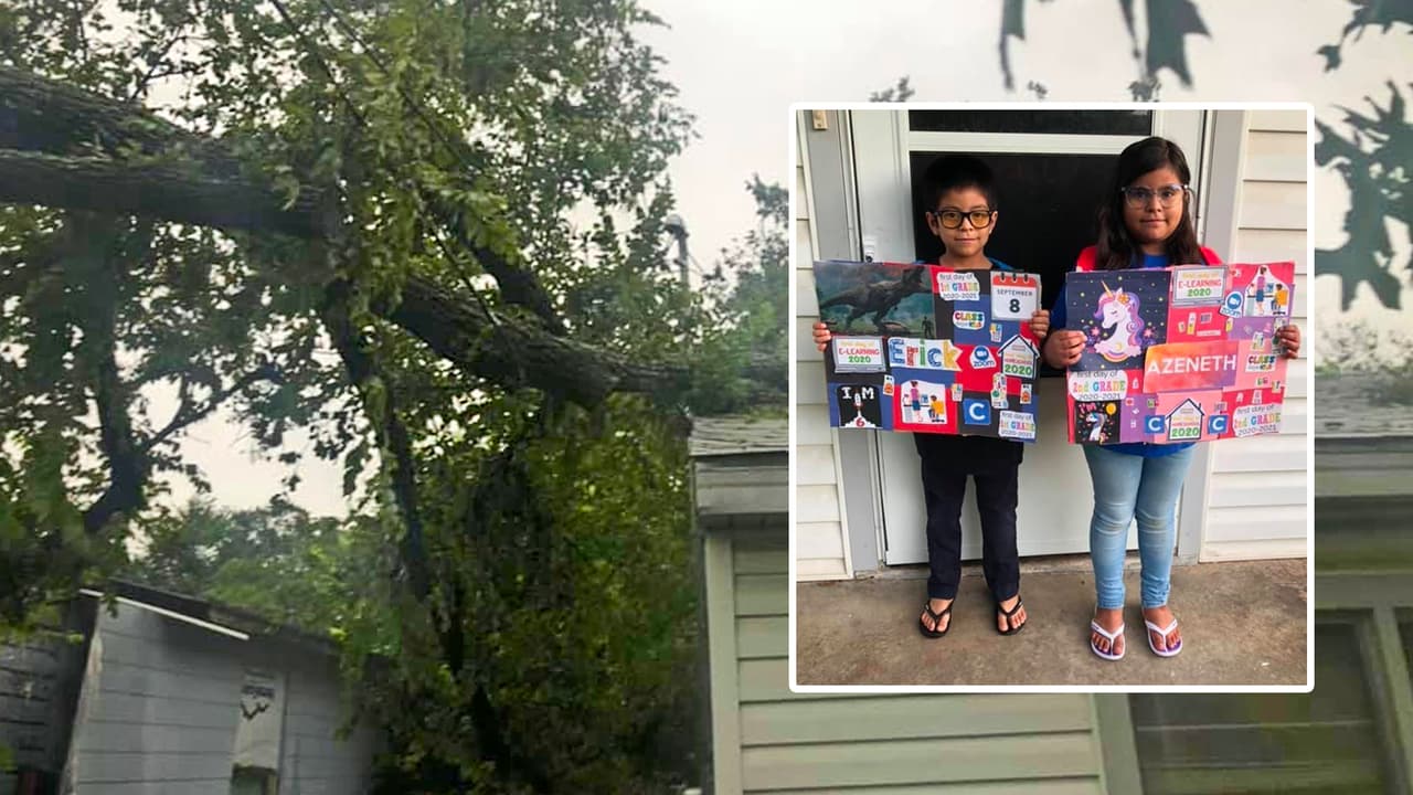 Un árbol caído deja sin luz a una familia justo para el inicio de clases virtuales y esto tuvieron que hacer