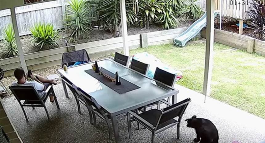 Videos de impacto - 3 de febrero