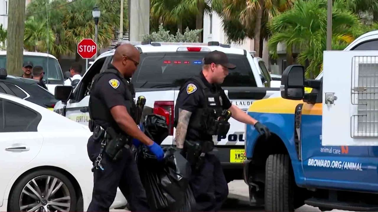Pelea de perros termina en tiroteo en Fort Lauderdale