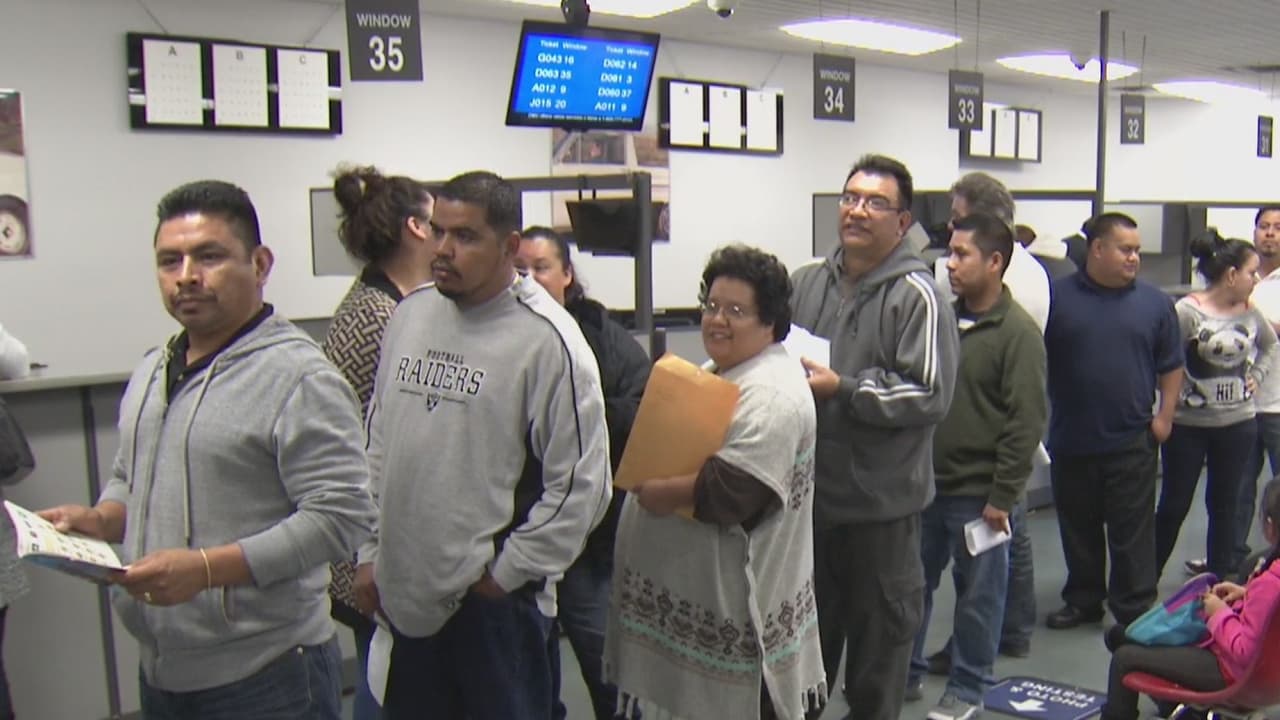 Estos son los requisitos para que los indocumentados obtengan una licencia de conducir en Nueva York