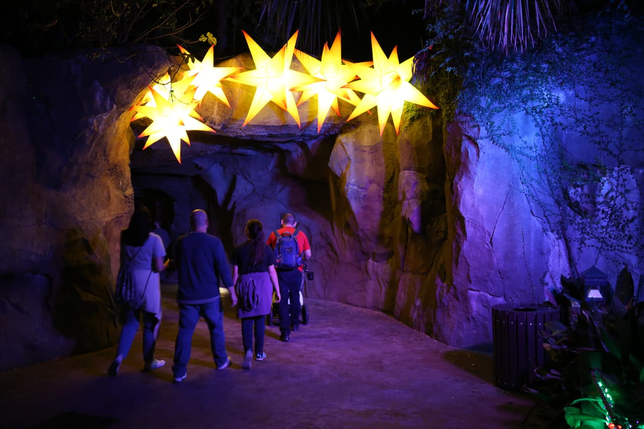 La cueva de los murciélagos fue decorada con deslumbrantes estrellas.