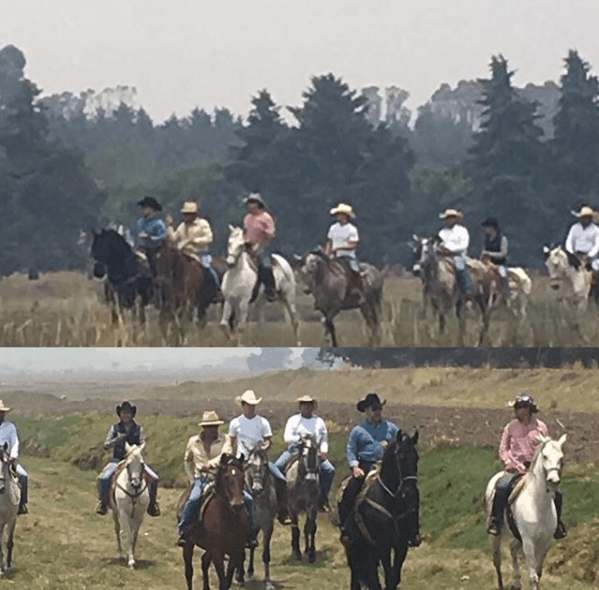 De acuerdo con su cuenta en Instagram, Eduardo ha evidenciado su gusto por las actividades ecuestres. "Preparando nuestra cabalgata para el 7 de mayo 'Todos somos Ocoyoacac' para recorrer nuestro hermoso municipio", escribió el actor.