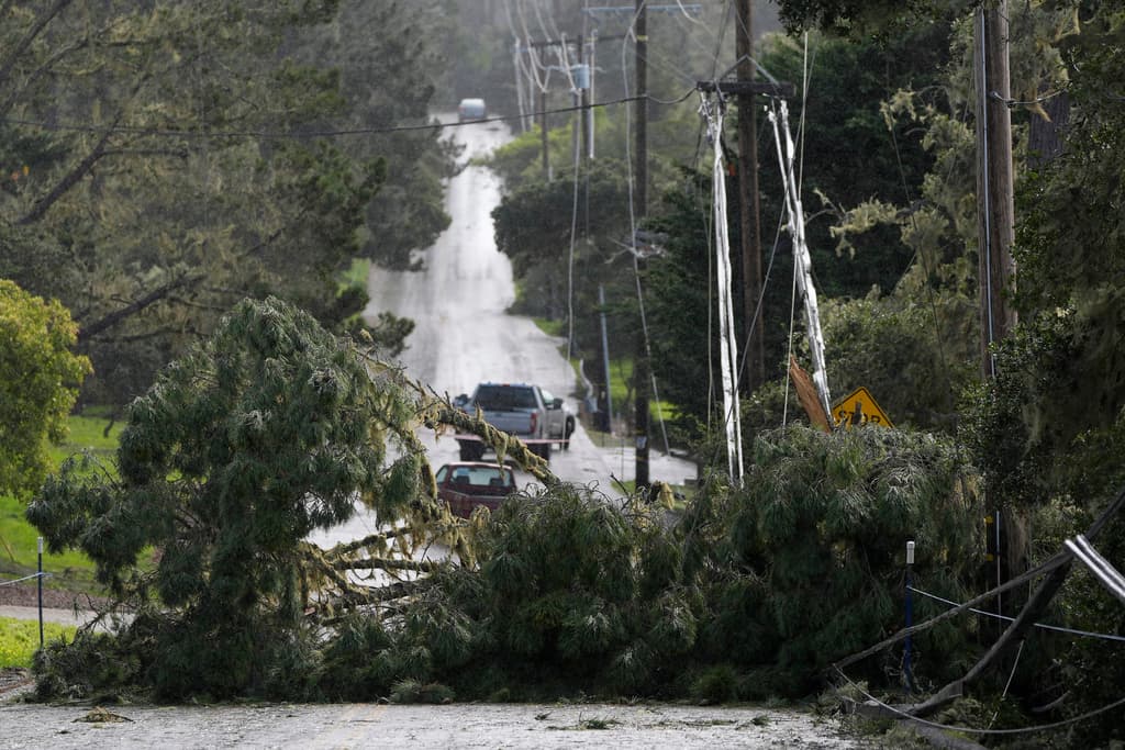 Árboles caídos y líneas eléctricas bloquean una carretera en Pebble Beach, California, el domingo 4 de febrero de 2024. La tormenta tocó tierra el sábado en el norte de California y se espera que cause aguaceros hasta el martes mientras avanza por la costa hacia San Diego. (Foto AP/Ryan Sun)