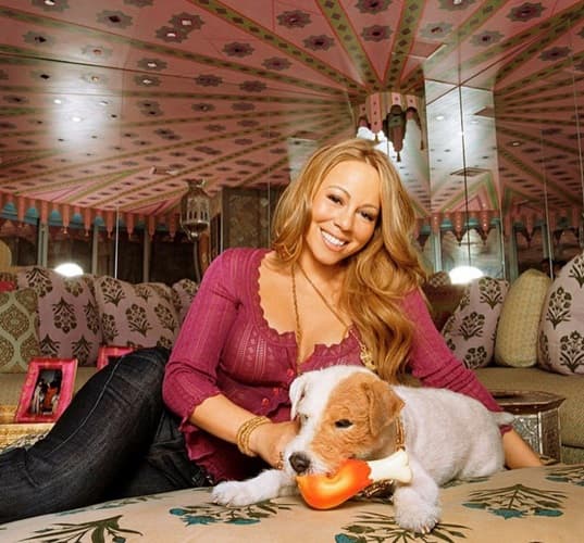 Se sabe que Mariah esta obsesionada con su perro, así que pide su propio espacio para cuando viaja con su mascota en jet privado.