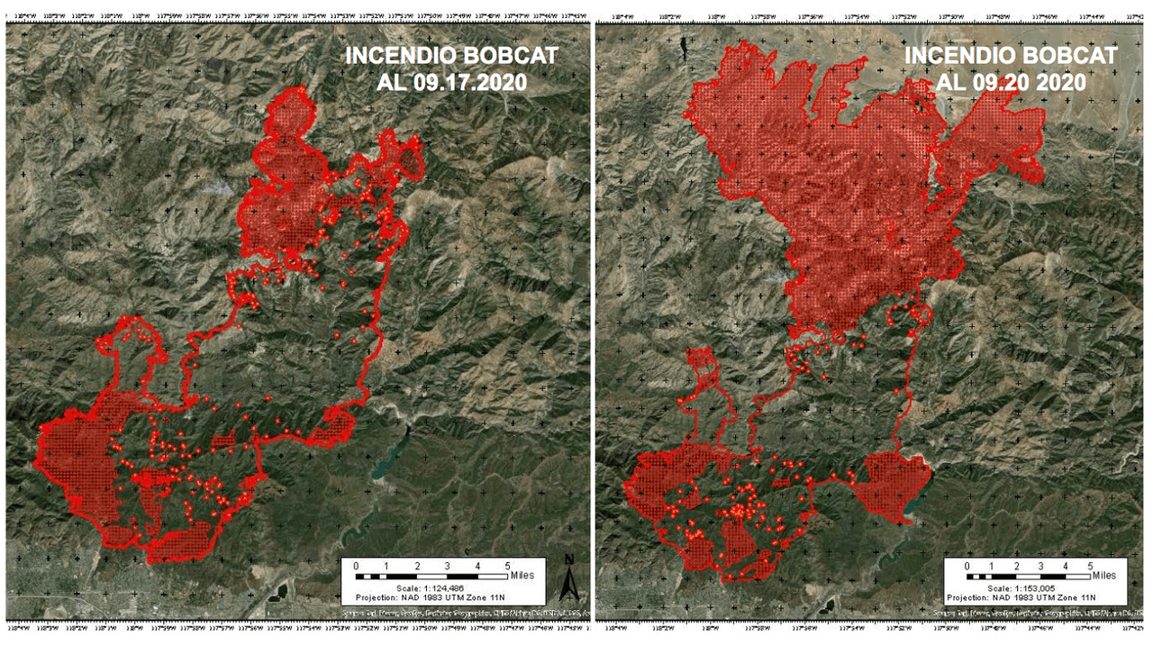 'Bobcat fire' no sede: van unos 100,000 acres destruidos y se emiten nuevas evacuaciones en Los Ángeles