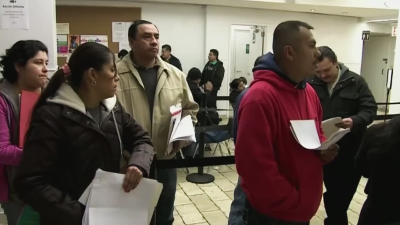 Alerta por falsos expertos en inmigración en EEUU; abogada comparte recomendaciones para evitar caer en estafas