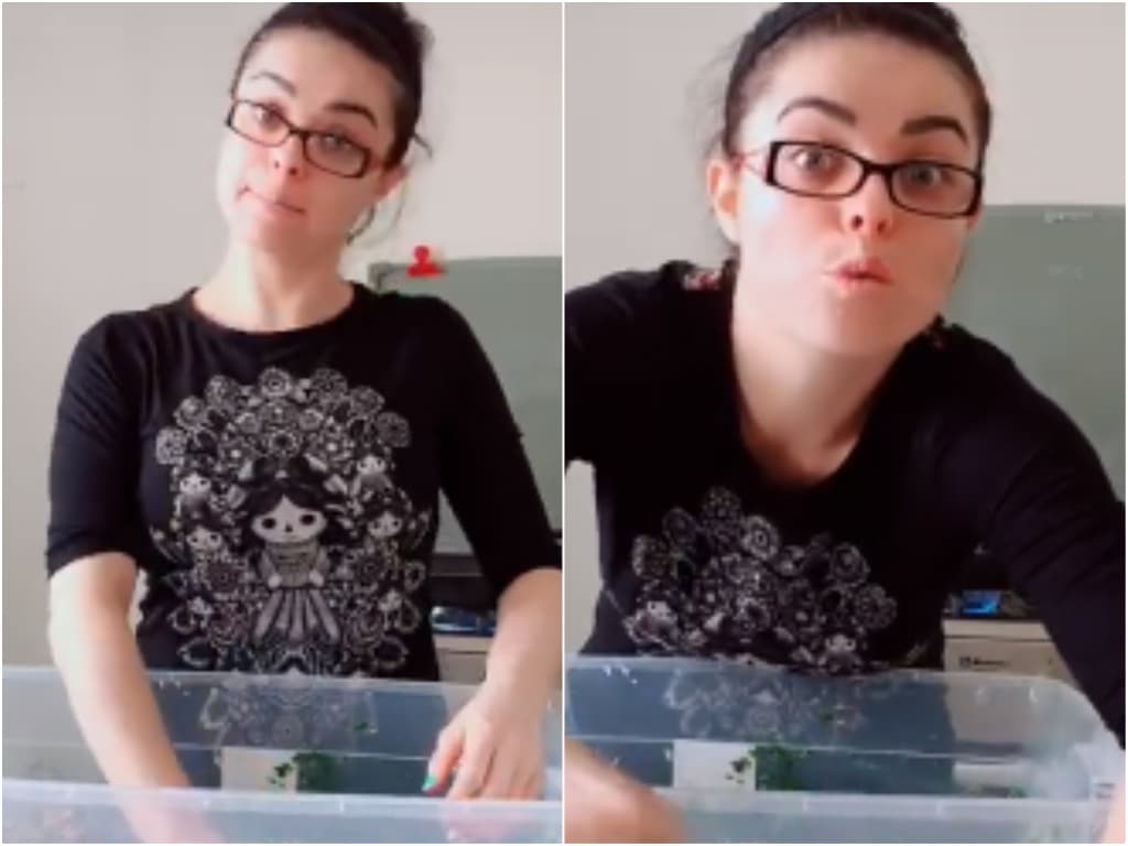 Violeta Isfel, de la actuación a la gastronomía 