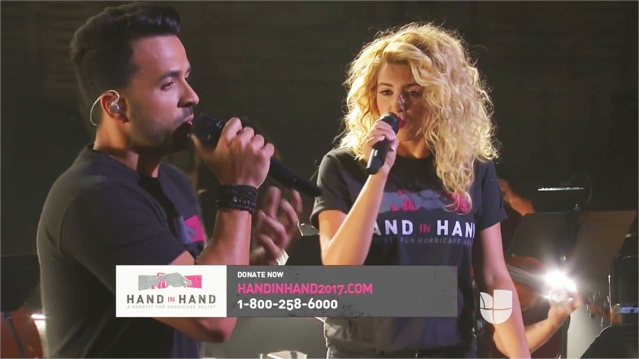 Luis Fonsi hizo suyo el teletón de 'Hand in Hand'