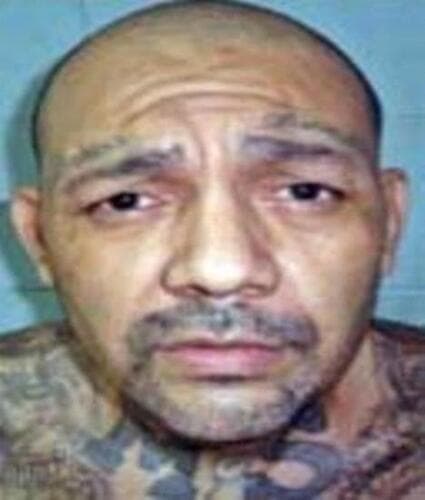 <h3 class="cms-H3-H3">Freddy Iván Jandres Parada</h3>
<br>
<br>Este salvadoreño de 45 años es buscado por ser parte de los liderazgos que han autorizado actividades delictivas de la MS-13.
<br>
<br>Jandres ha sido acusado de varios delitos de terrorismo por su presunta participación 
<a href="https://www.ice.gov/most-wanted/jandres-parada-freddy-ivan" target="_blank">en numerosos actos de violencia contra civiles, agentes del orden y pandilleros rivales</a>, así como planes de distribución y extorsión de drogas en todo el mundo.