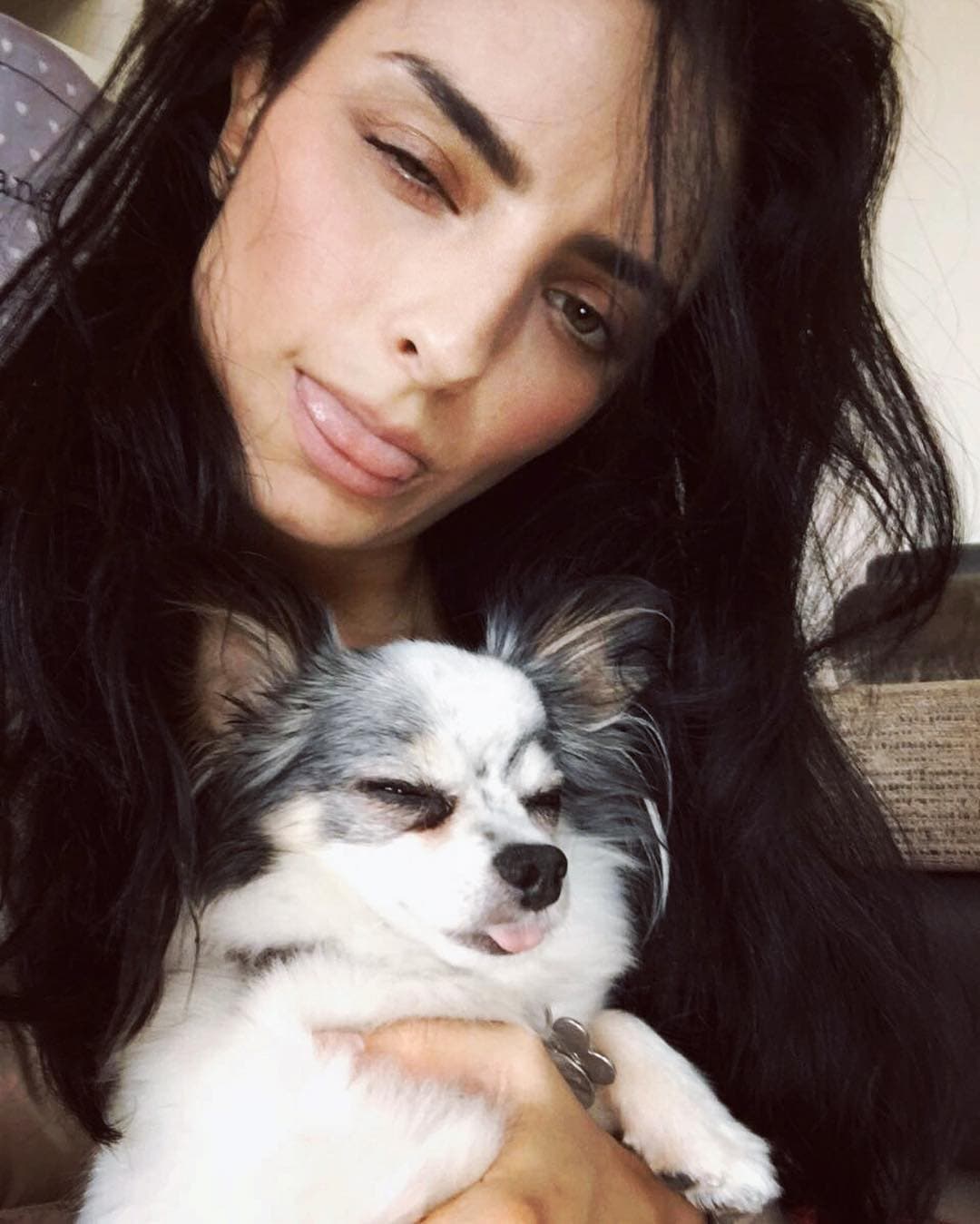 Aislinn Derbez también se ha encargado de darle un hogar a varios perros.