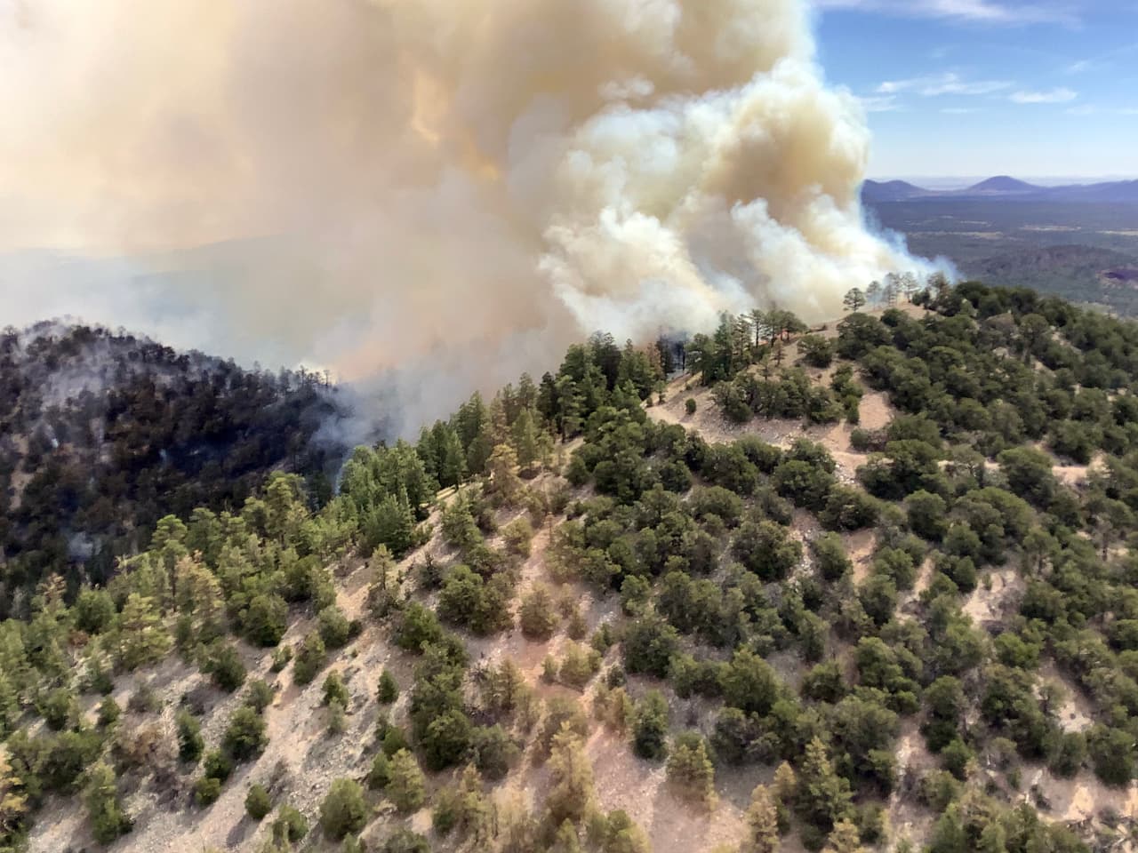 De acuerdo con las autoridades, 
<a href="https://inciweb.nwcg.gov/incident/article/7515/59665/" target="_blank">el incendio estalló aproximadamente a 23 millas al noroeste de Flagstaff </a>e n el lado oeste de la Carretera Federal 180, adyacente al Bosque Nacional Kaibab. Actualmente se mueve en dirección noreste. 
<b>Hasta el momento, ninguna estructura corre riesgo por el incendio Slate. </b>
<br>