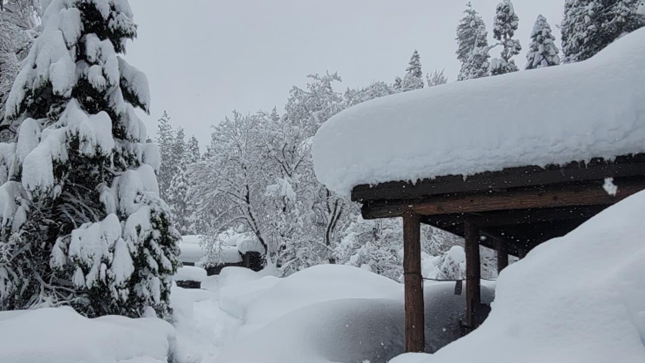 Las escenas se repiten a lo largo de todo el parque, pero la excesiva caída de nieve ayudará a 
<a href="https://www.univision.com/local/fresno-kftv/tormentas-invernales-podrian-aliviar-sequia-algunas-regiones-california" target="_blank">aliviar la sequía </a>en algunas zonas de California.