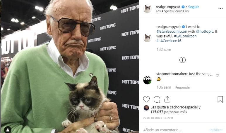 Otros de los famosos con los que convivió la famosa gatita fue con el fallecido 
<b><a href="https://www.instagram.com/p/BMKnblMgoUS/">Stan Lee</a></b>. De acuerdo con la propia cuenta de Instagram de Grumpy Cat, coincidieron en varias ocasiones en el Comic-Con. En esta imagen se encuentran en el evento de cómics que se realizó en Los Ángeles en 2016.