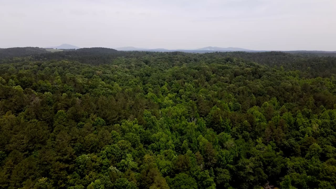Este parque también ofrece varias opciones para escapadas nocturnas.