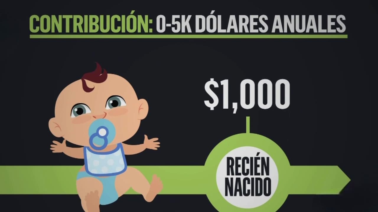¿Cómo funcionan las nuevas Cuentas Trump para el ahorro y la seguridad financiera de los menores de edad?