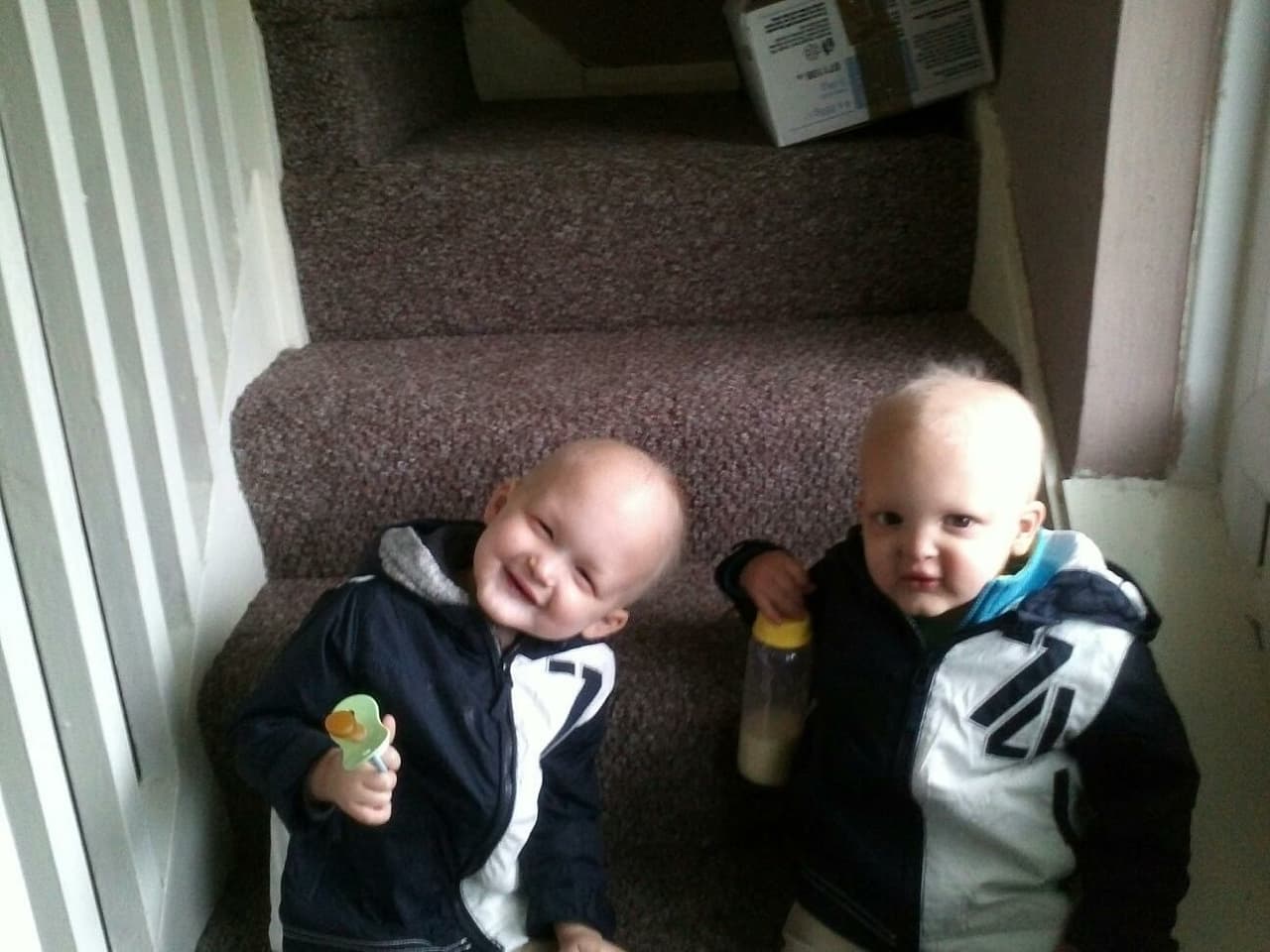 Ellos tampoco tienen un control natural sobre la temperatura de su cuerpo.