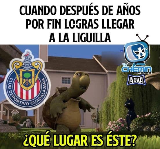 Queda definida la Liguilla y aquí te presentamos los mejores memes de la eliminación a un partido.