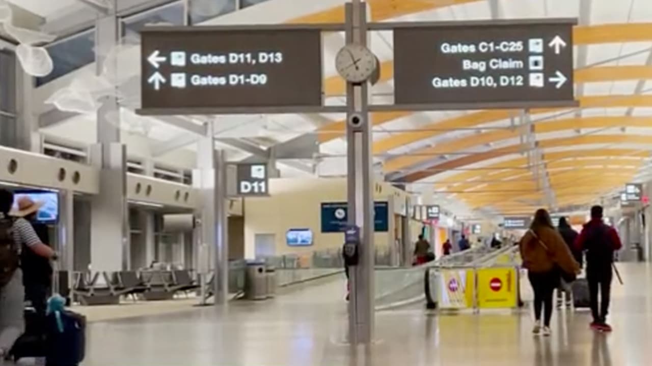 Conoce los 4 nuevos vuelos sin escalas que puedes realizar desde RDU; uno de ellos es a la Ciudad de México