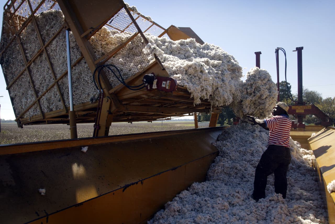 <b>Si vendes algodón, debes llevar un registro y guardarlo al menos por un año</b>. Todo vendedor de algodón u otra persona que compre algodón al productor después de su desmotado deberá mantener un registro de dicha compra por un periodo de un año a partir de la fecha de compra. Este registro deberá contener el nombre y la dirección del vendedor del algodón, la fecha de compra, el peso o la cantidad y el número de serie de los fardos. Cualquier persona que viole las disposiciones será culpable de un delito menor de Clase 1.