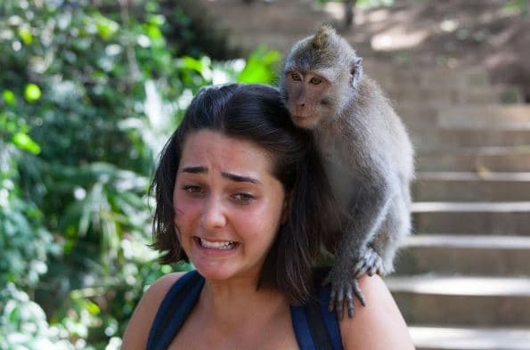 Lara viajará en agosto a Amsterdam, Holanda, en donde estudiará Relaciones Internacionales.