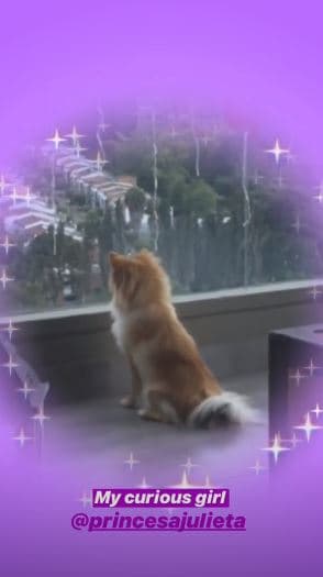 Además de 'Tali', 
<b><a href="https://www.univision.com/entretenimiento/la-encontro-maluma-recupera-a-su-princesa-en-solo-4-horas-gracias-a-las-redes-sociales">Maluma y Natalia tienen una pequeña perrita llamada Julieta</a></b>.