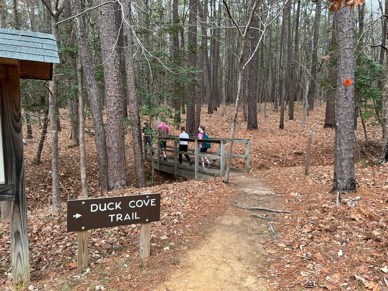 Los senderos incluyen una parte de la ruta estatal Mountains-to-Sea, así como uno de los principales sistemas de senderos para bicicletas de montaña en el área de El Triángulo, ubicado en el acceso a Beaverdam.