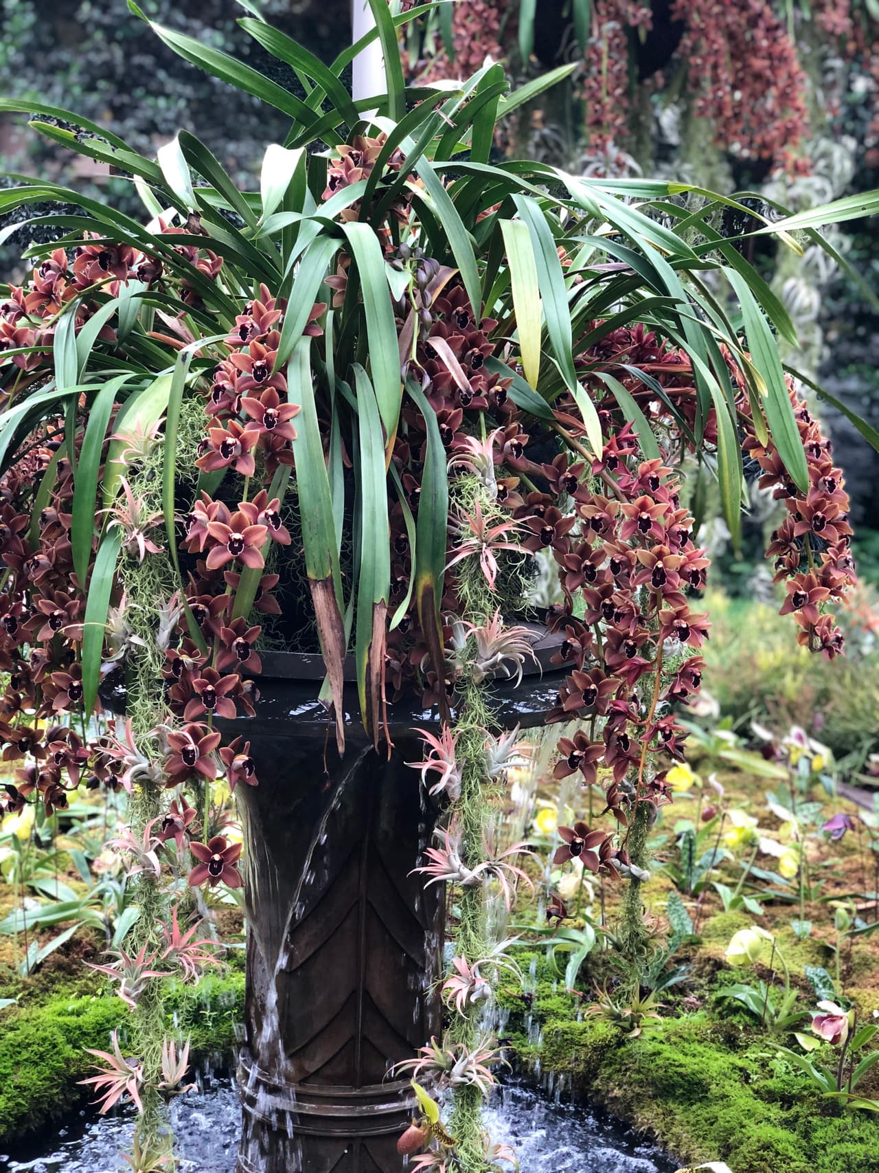 Ambos sirven para fomentar el cultivo y la recolección de orquídeas, pero algunos van más allá al concentrarse en la conservación o la investigación.