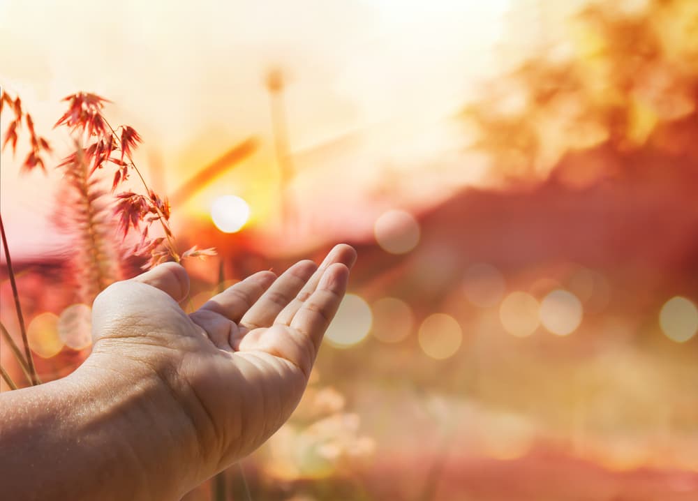 Podemos comparar el Karma con la lección que nos da la vida para que aprendamos, y una vez superada recojamos los frutos. Según la Astrología cada signo tiene ciertos obstáculos que superar para poder desarrollar su buen karma y superar el negativo forjando así un destino mejor cada día.