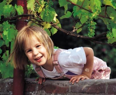 Cerca de tiLos colegios en tu comunidad ofrecen campamentos de verano para niños de distintas edades. Además de campamentos de ciencia, robótica, música, artes, cocina, deportes y mucho más, los colegios en tu comunidad ofrecen durante el verano programas de enriquecimiento académico tales como lectura, idiomas y matemáticas. Estos cursos tienen costos variados para adaptarse a los distintos presupuestos.