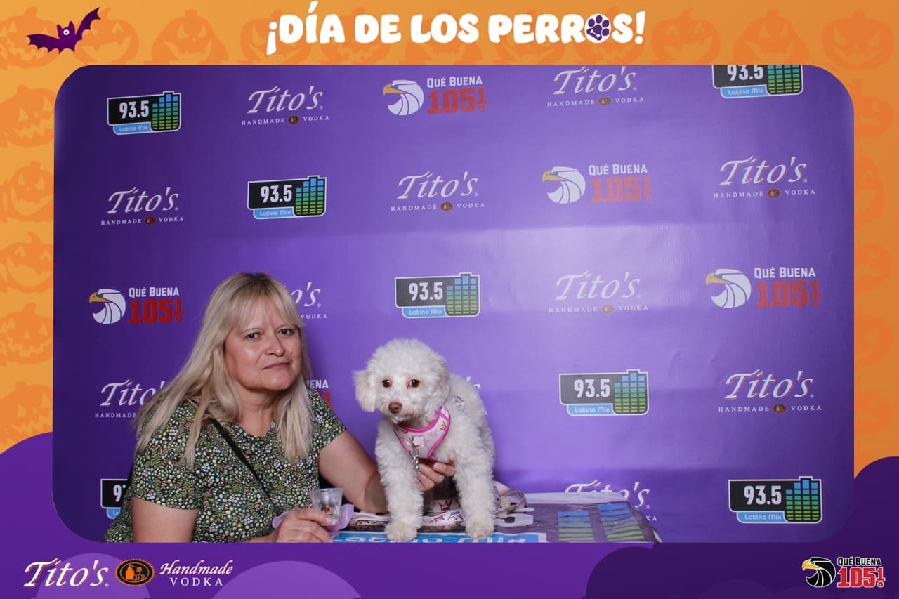 Cual fue tu favorito?