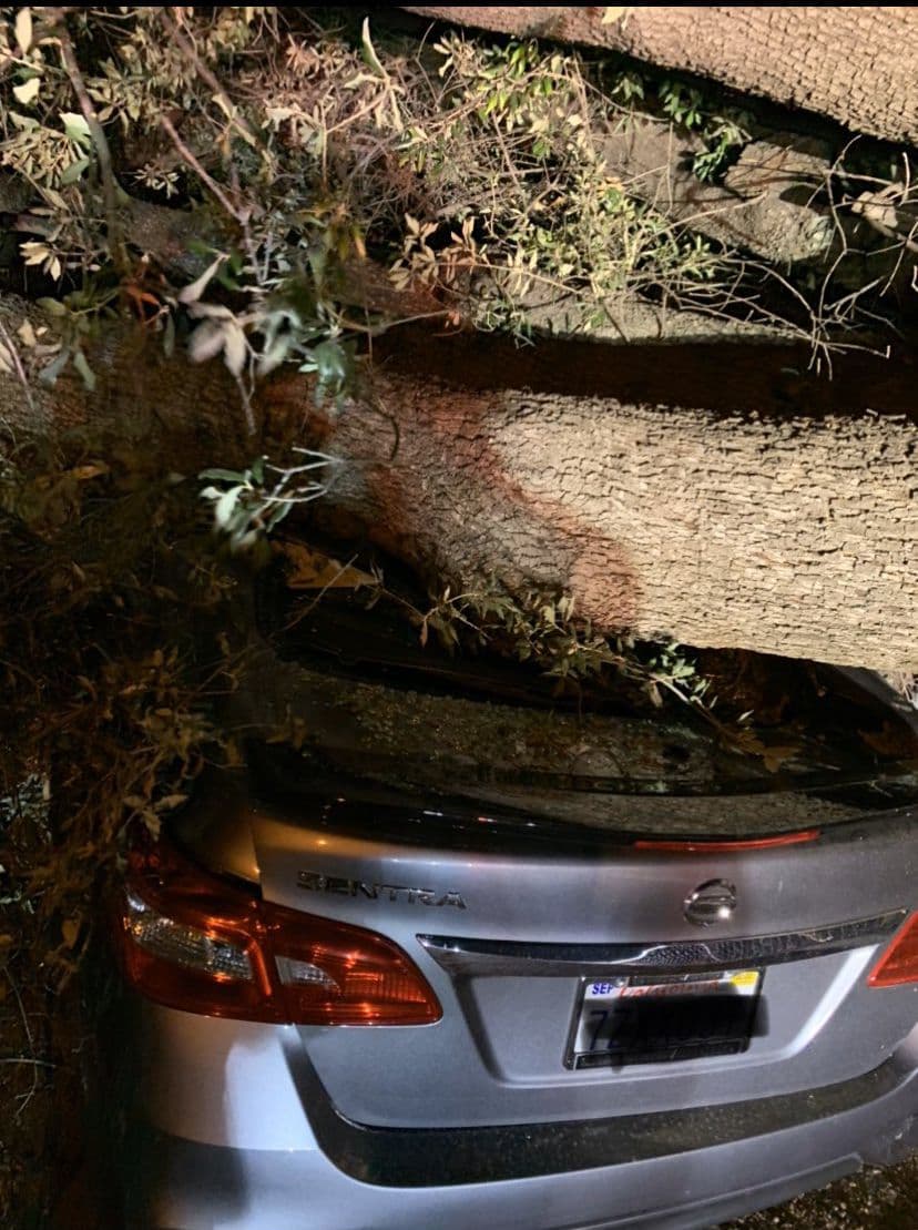 Los bomberos respndieron a "múltiples llamadas de servicio debido a los vientos fuertes" en el condado de Riverside acuerdo con el comunicado de CalFire.