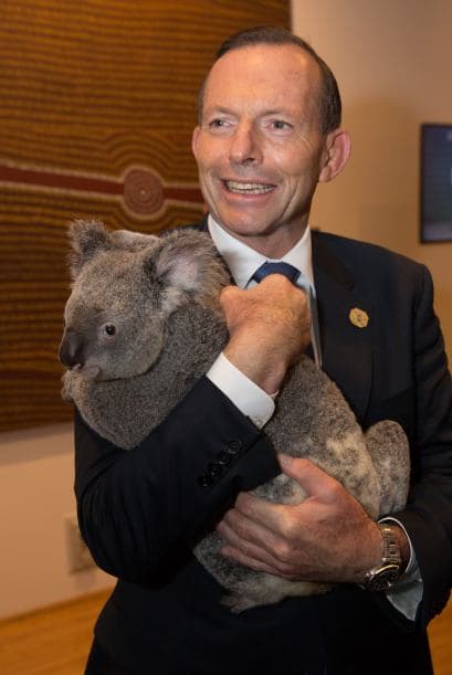 Varios líderes mundiales aprovecharon el tiempo libre para abrazar a dos koalas y posar junto a ellos para las fotografías. En la imagen Tony Abbott, Primer Ministro de Australia.