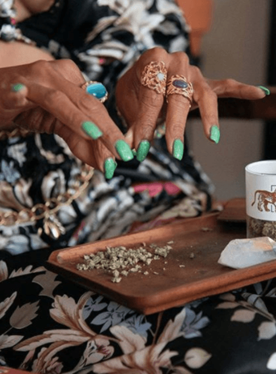 La cantautora y diseñadora de moda está convencida de sus beneficios medicinales y catalogó a la planta como un miembro más de la familia, según EFE.