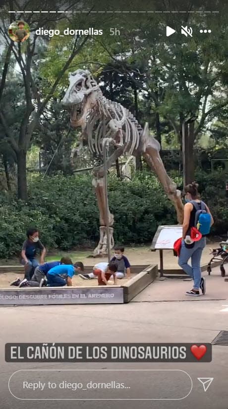 Ariadne y Marcus llevaron a Diego a un parque de dinosaurios, algo que le apasiona al pequeño de 5 años.
<br>