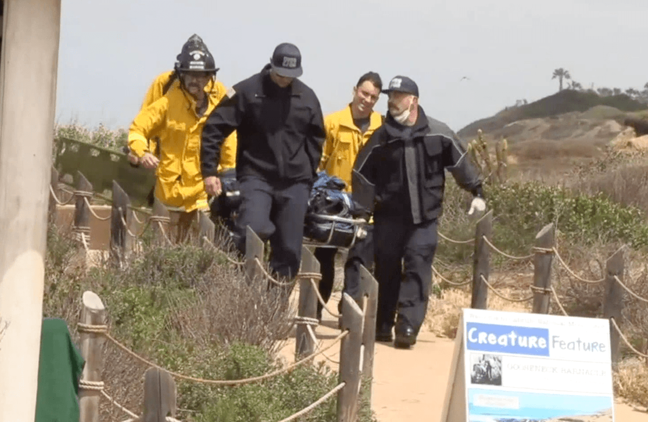 Hasta el momento se desconocen las identidades de las víctimas, sin embargo, se dijo de forma preliminar que había menores entre los pasajeros.