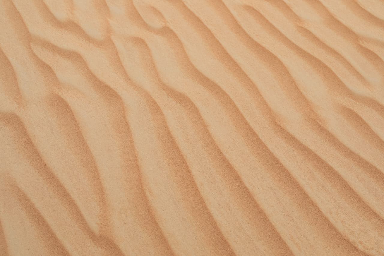 Los polvos del desierto del Sahara pueden eliminar los huracanes. Estas partículas interfieren con la formación de huracanes y tormentas tropicales.