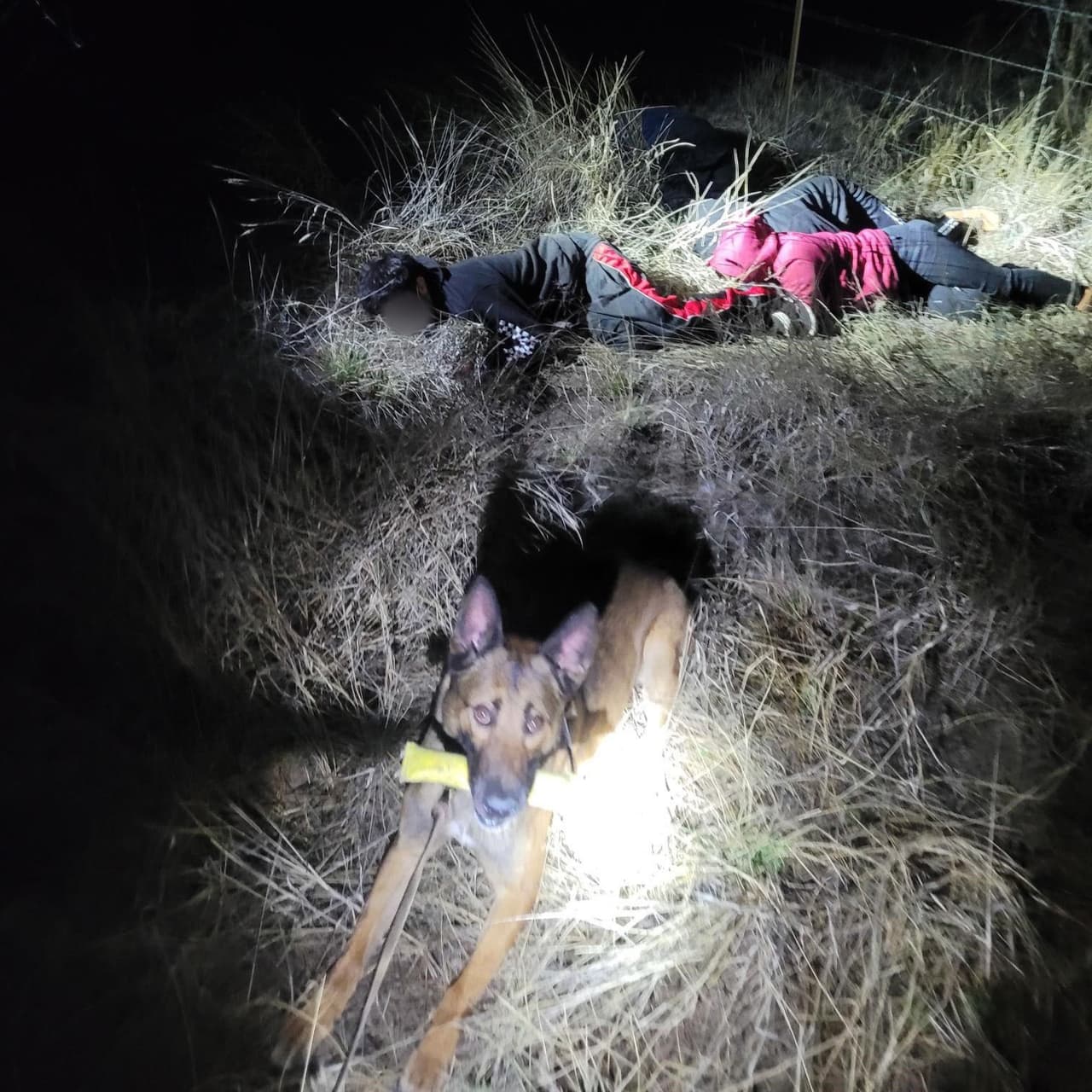 Según la Patrulla Fronteriza, un ciudadano preocupado se comunicó con la estación de Willcox para informar que un grupo de presuntos migrantes estaba cerca del punto de control de inmigración SR-90. Los agentes respondieron con el apoyo de un K9 y detuvieron con éxito a tres migrantes y a un traficante, ciudadano estadounidense.