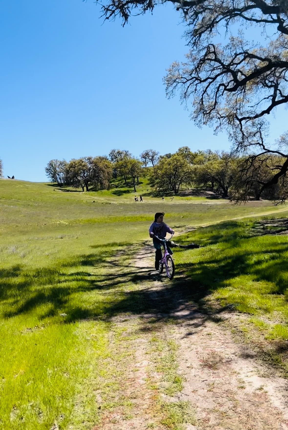 No se pierda la experiencia de dar un paseo en bicicleta a través de los hermosos paisajes bajo el brillante sol de California y lo más importante lo puede hacer en familia.
<br>