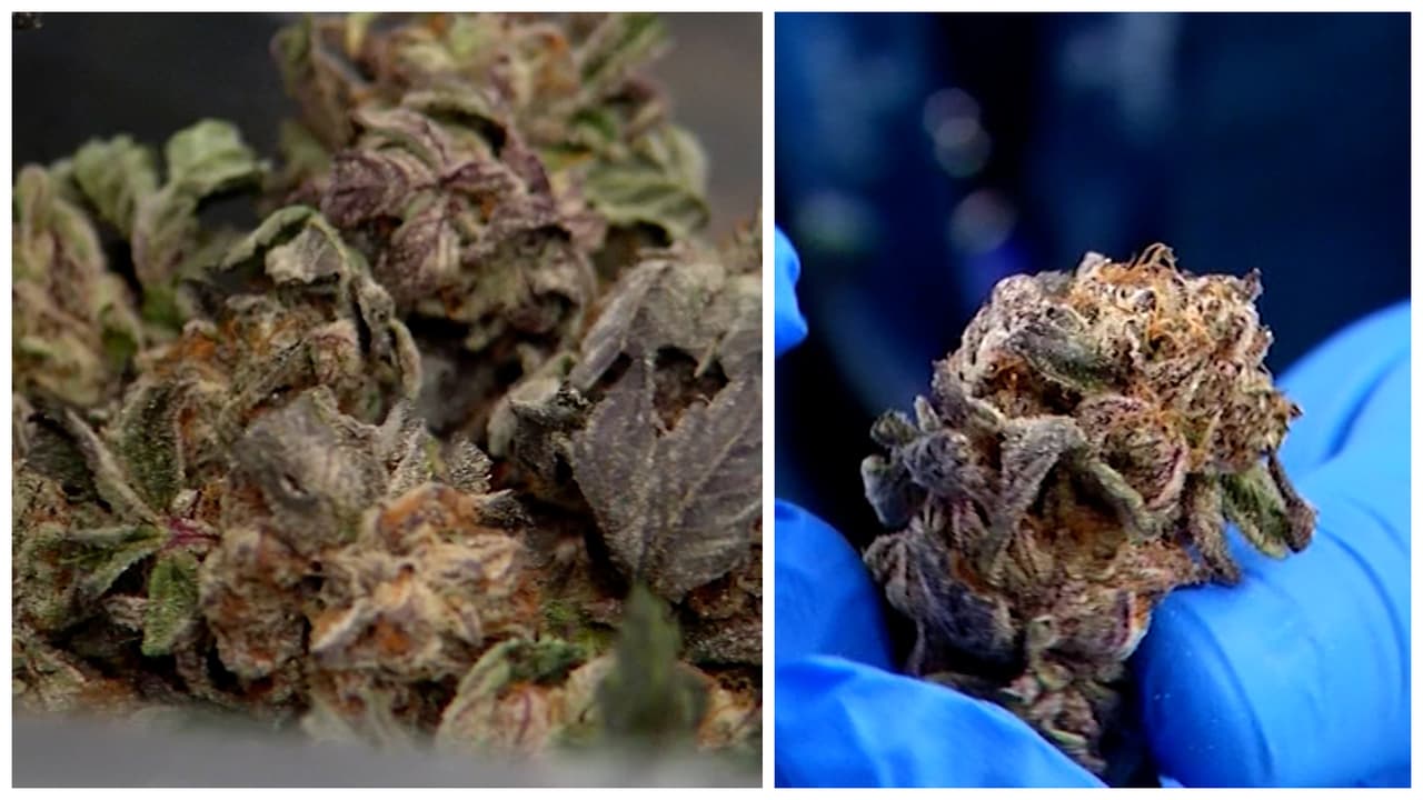 Dramático arresto a un inmigrante a manos de agentes federales en Maryland  | Video | Univision Washington WFDC | Univision