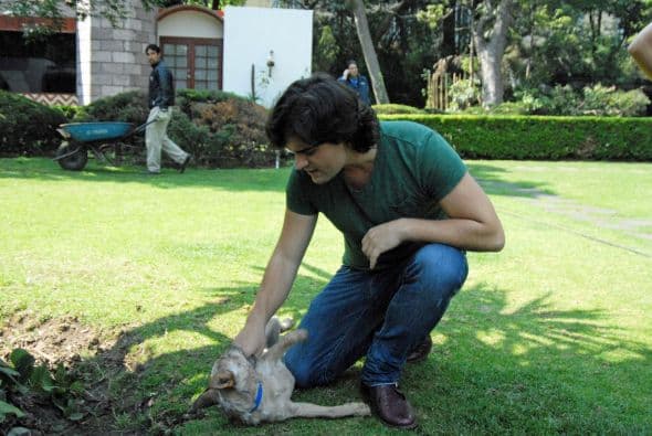 Vivirá un amor prohibido.