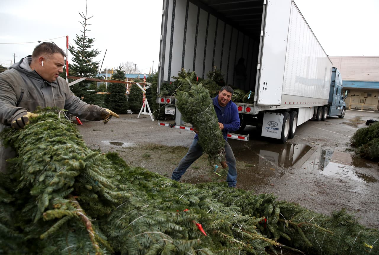 Según la Asociación Nacional de Árboles de Navidad (NCTA, por sus siglas en inglés), dos de los principales estados que producen estos árboles, Carolina del Norte y Oregón, tienen menos árboles para ofrecer este año. Sin embargo, a pesar de la escasez, todavía hay suficientes pinos para satisfacer la demanda.