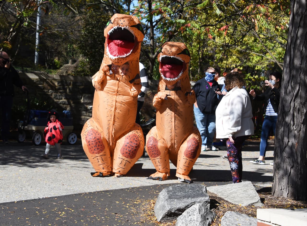 Venga vestido con su disfraz favorito, haga truco o trato en el zoológico y disfrute de la decoración de temporada, oportunidades para tomar fotografías, ofertas festivas de otoño, actividades divertidas para niños y diviértase espectacularmente.