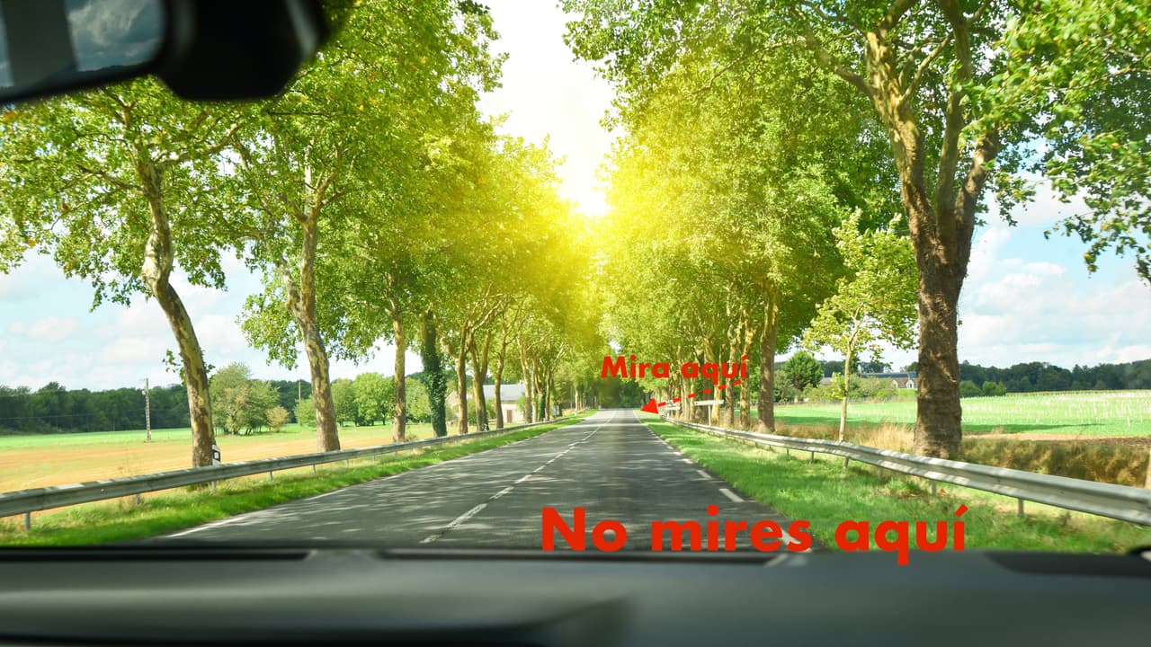 <h3 class="cms-h3-H3">Mira hacia dónde quieres ir.</h3>
<br>
<br>No todo el mundo utiliza el limpia parabrisas de la misma manera. Un conductor experimentado apunta la vista hacia dónde quiere ir, que no es necesariamente lo que está frente a su vehículo, lo que hace el las 
<b>partes media y superior del parabrisas</b> sean las partes más importantes del mismo. Una manera fácil de ilustrar este consejo es preguntarnos ¿qué es lo último que ve el conductor que chocó de frente con un árbol? La respuesta es, el árbol mismo. Si el conductor hubiese estado buscando una vía de escape lo más probable es que hubiese podido evitar el choque. Buscar con anticipación nuestra ruta también nos puede ayudar a ver con mayor antelación accidentes, obstáculos y otros peligros potenciales en la vía.