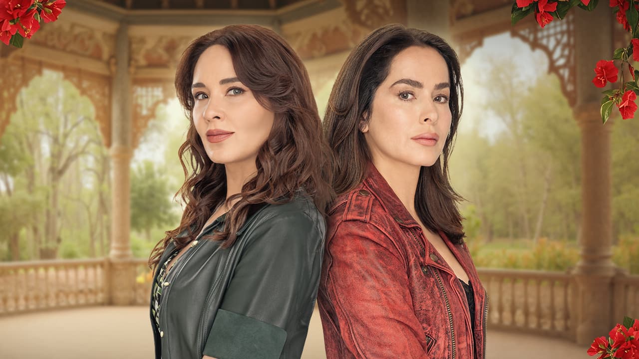 Hermanas: Un Amor Compartido-highImpact